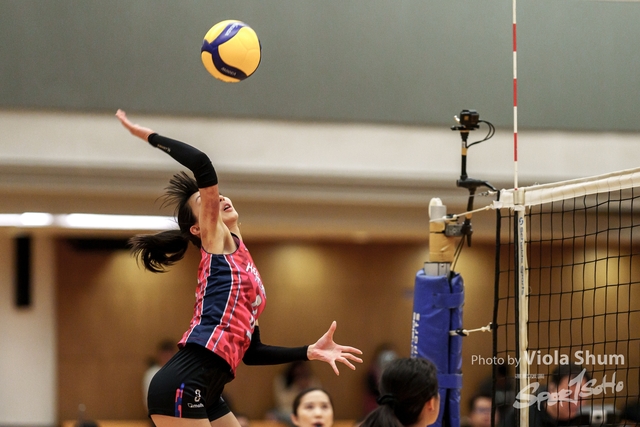 20240128_Volleyball_Viola-00018