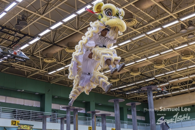 20250427_舞龍舞獅项目 -_LR50098-0061-Enhanced-NR