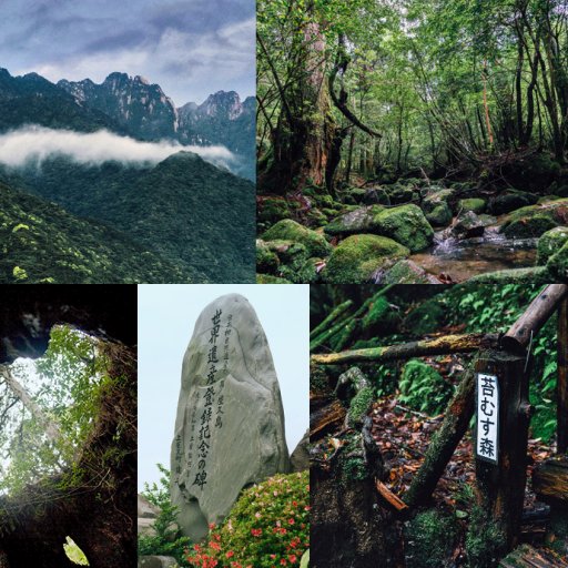 日本屋久島登山